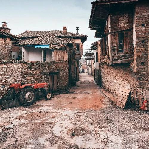 مصطفی دارینی این روزا عادت اونا مرگ و بهونه کردنه